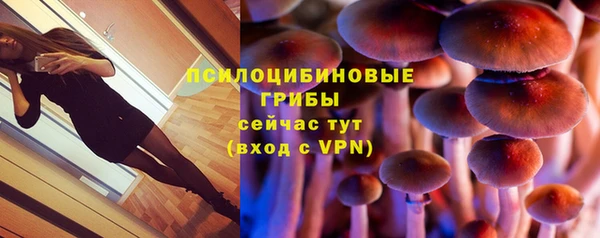 мет Абинск