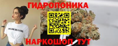 гашик Кимры