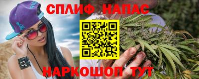 гашик Кимры