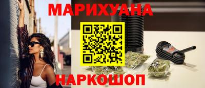 шишки Кингисепп