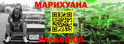 шишки Кингисепп