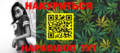 шишки Кингисепп