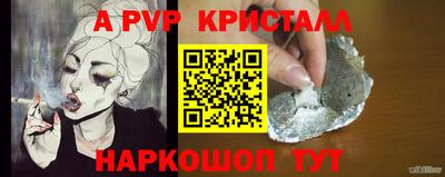 шишки Кингисепп