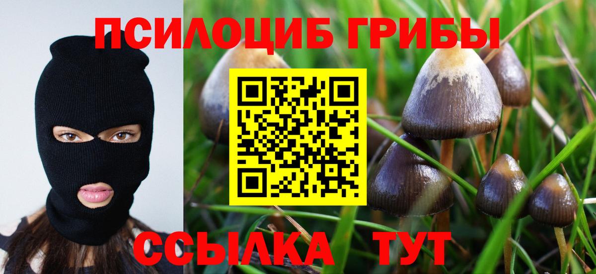 Псилоцибиновые грибы Psilocybine cubensis  Вход с VPN  Псилоцибиновые грибы мухоморы  Заволжье 
