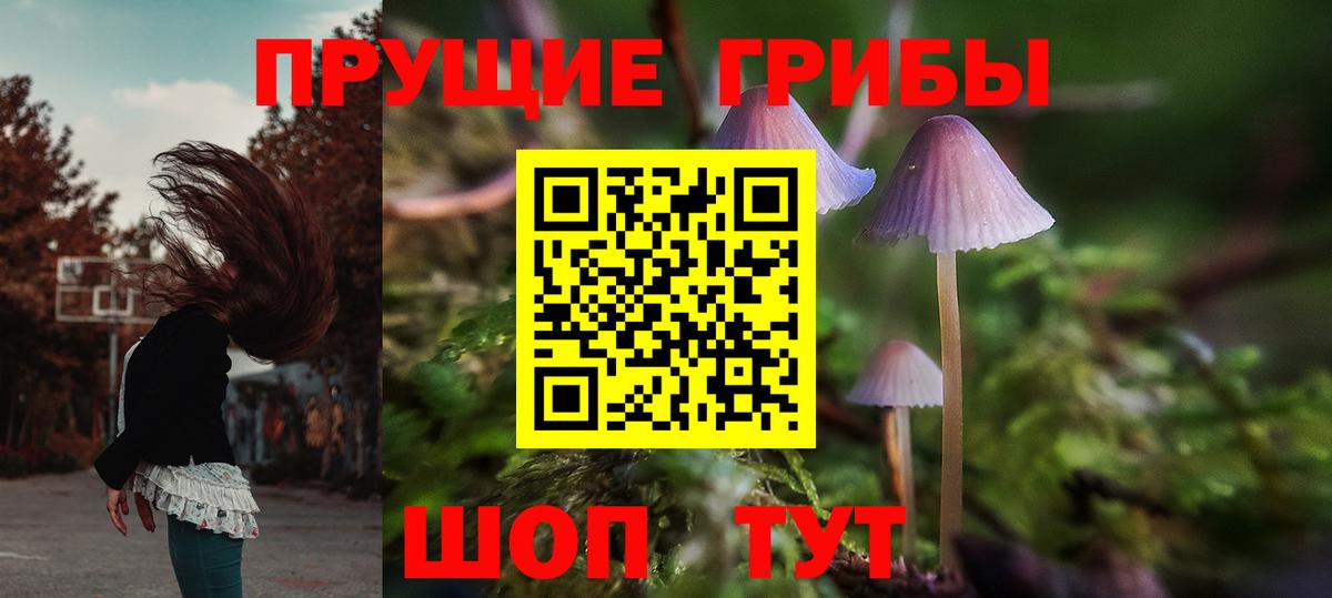 Псилоцибиновые грибы GOLDEN TEACHER Заволжье